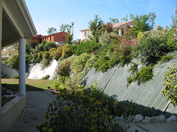 Talus champêtre et plantes rampantes